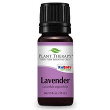 Load image into Gallery viewer, Lavender Essential Oil