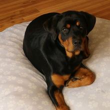 Load image into Gallery viewer, Dog Bed Cover Round - DaisyPawGray