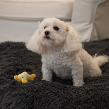 Load image into Gallery viewer, Dog Bed Cover Square - Faux Gray (NEW)