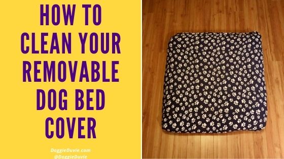 How to Clean Your Removable Dog Bed Cover