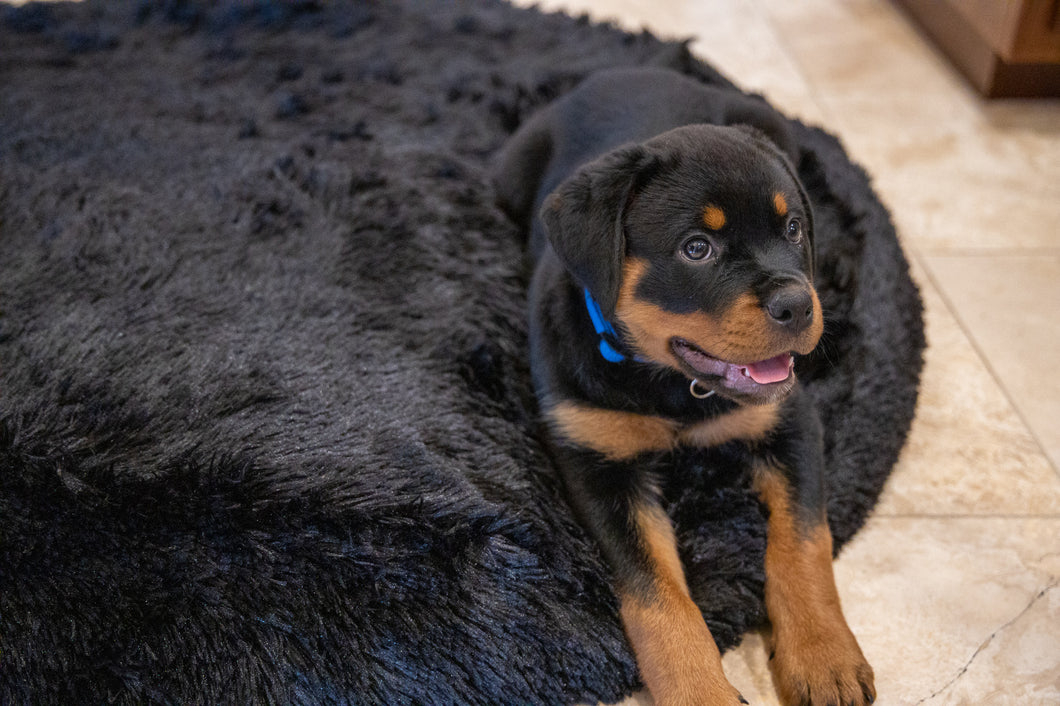 Dog Bed Cover Round - Black Faux