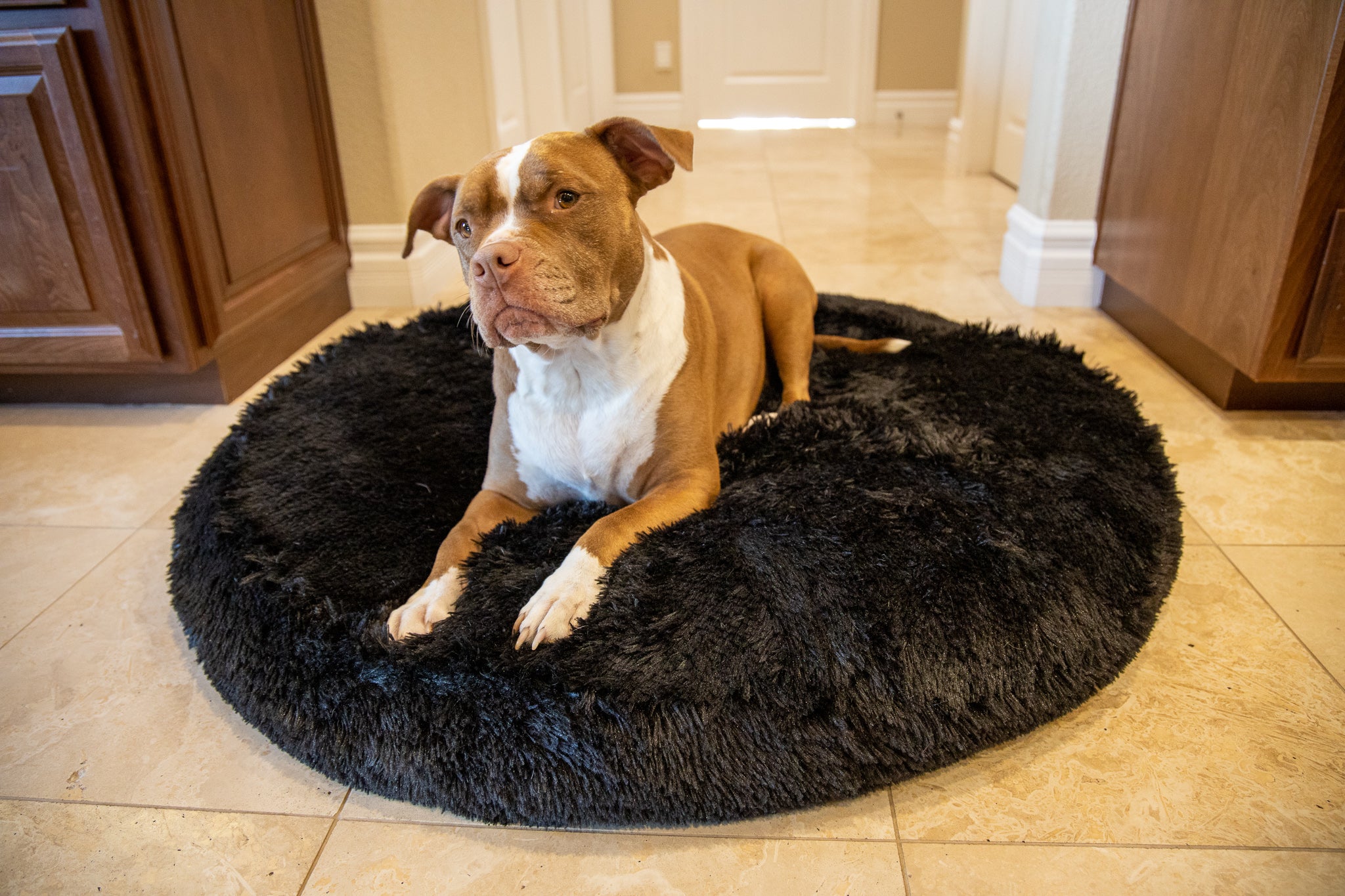 Dog Bed Cover Round Black Faux Fur