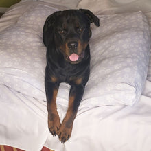 Load image into Gallery viewer, Dog Bed Cover Square - DaisyPawGray
