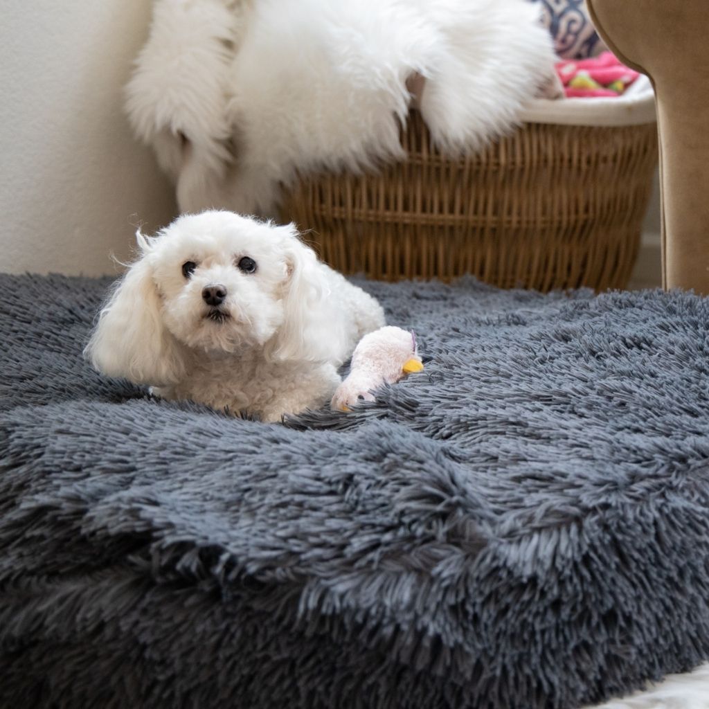 Dog Bed Cover Round - Faux Gray