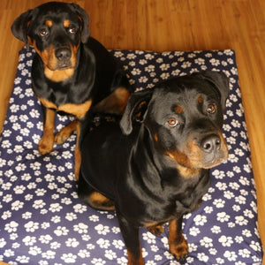 Dog Bed Cover Square - NavyPawLove