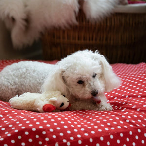 Dog Bed Cover Round - Red Polka (NEW)