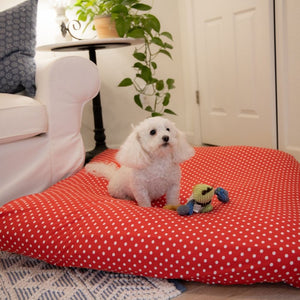 Dog Bed Cover Square - Red Polka - (NEW)